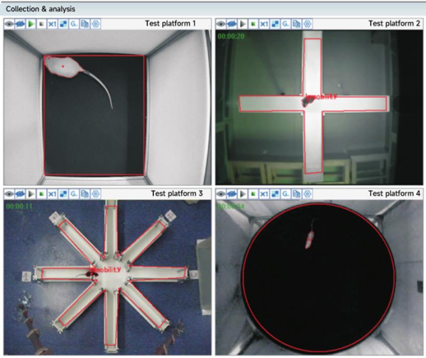 VisuTrack High-end Animal Behavior Analysis System - TYtech