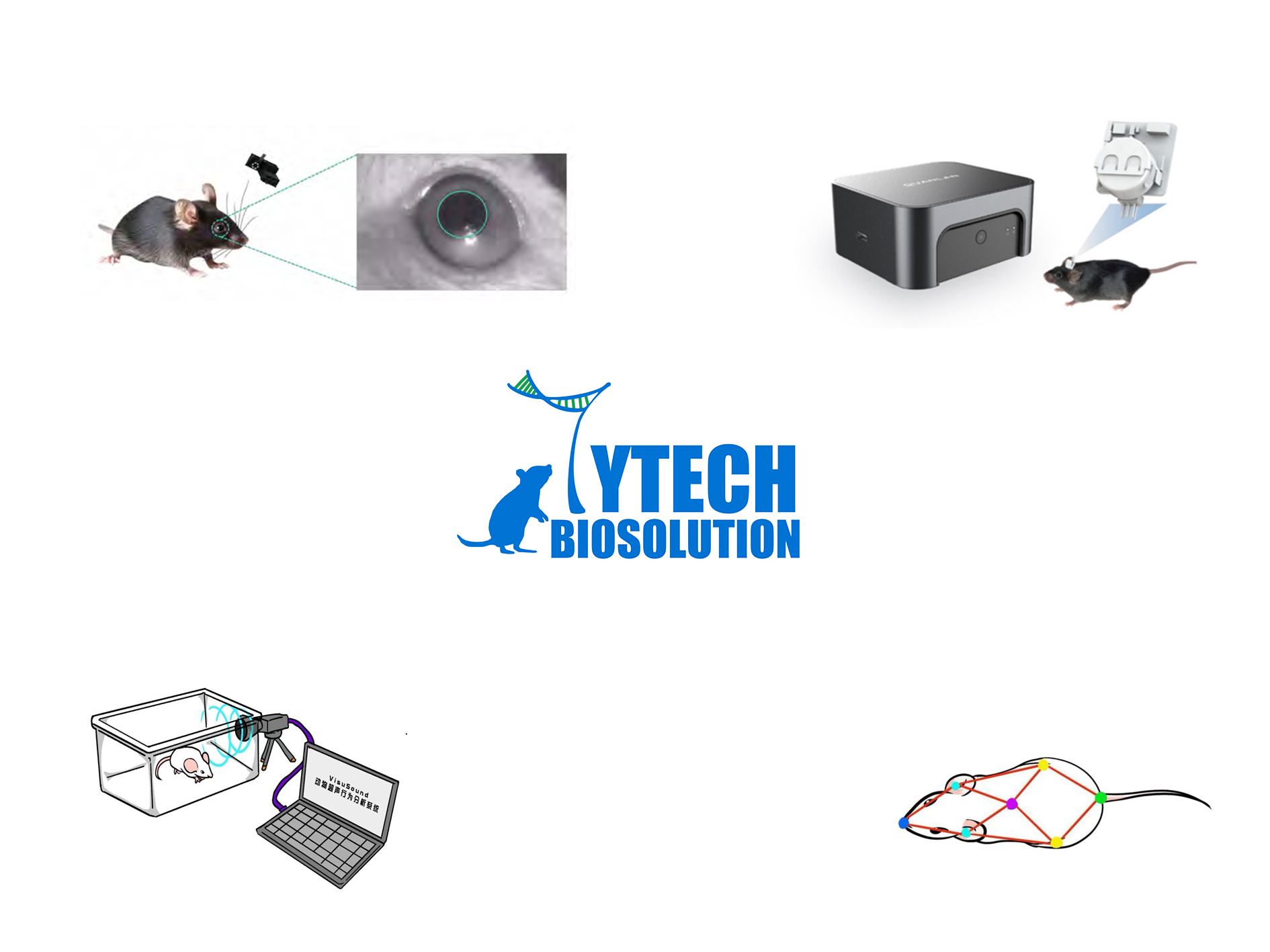 Animal R Software Category: Animal Analysis Software - TYtech