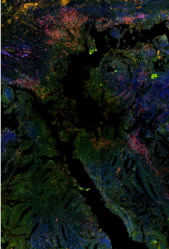 ScreenShot_2026-03-20_211010_451