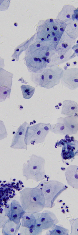 ScreenShot_2026-03-20_211027_286