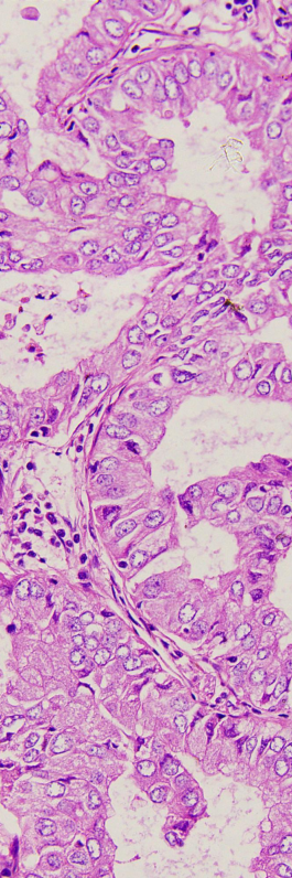 ScreenShot_2026-03-20_211033_577